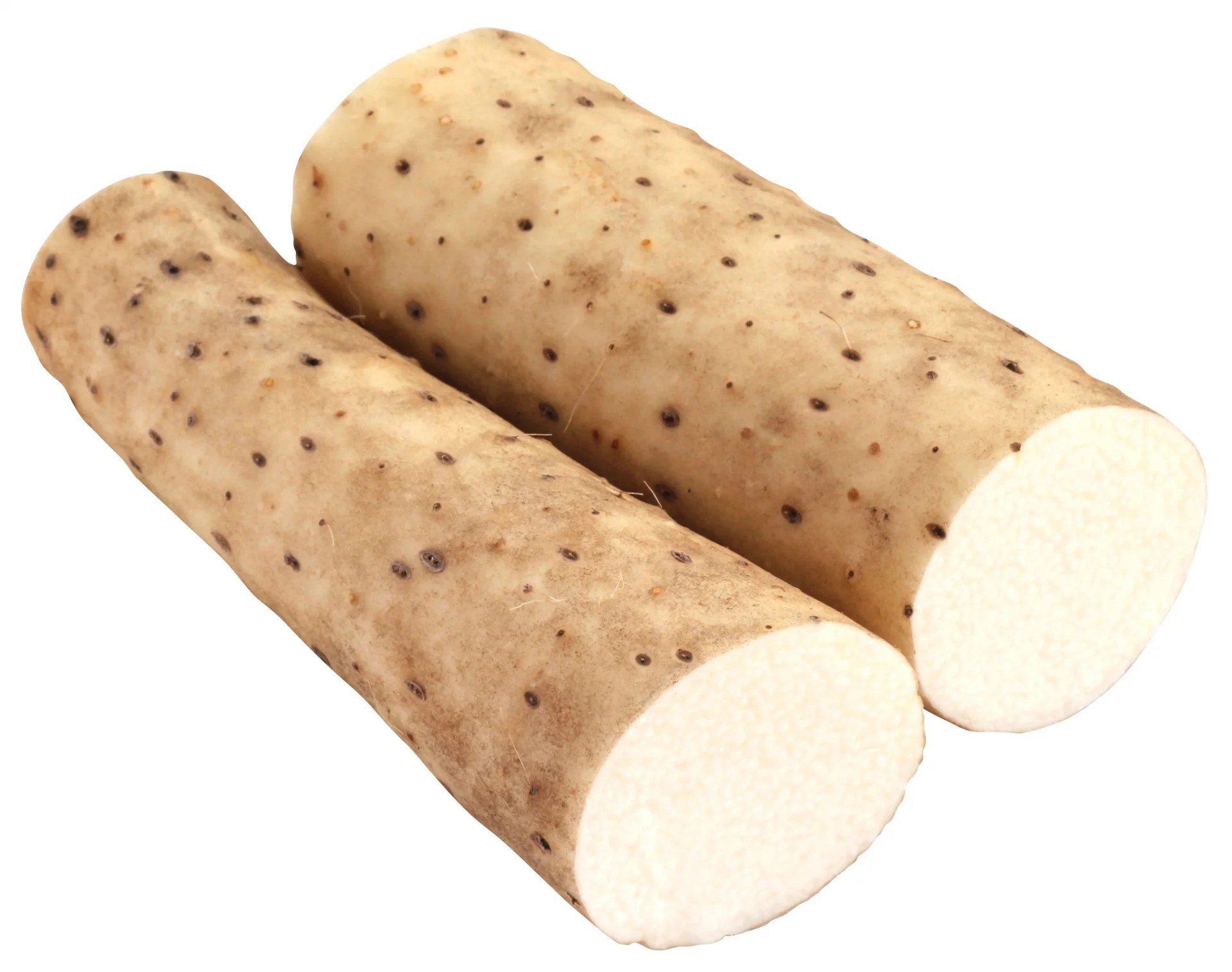 Japanese Yam Root - Nagaimo (1 piece)